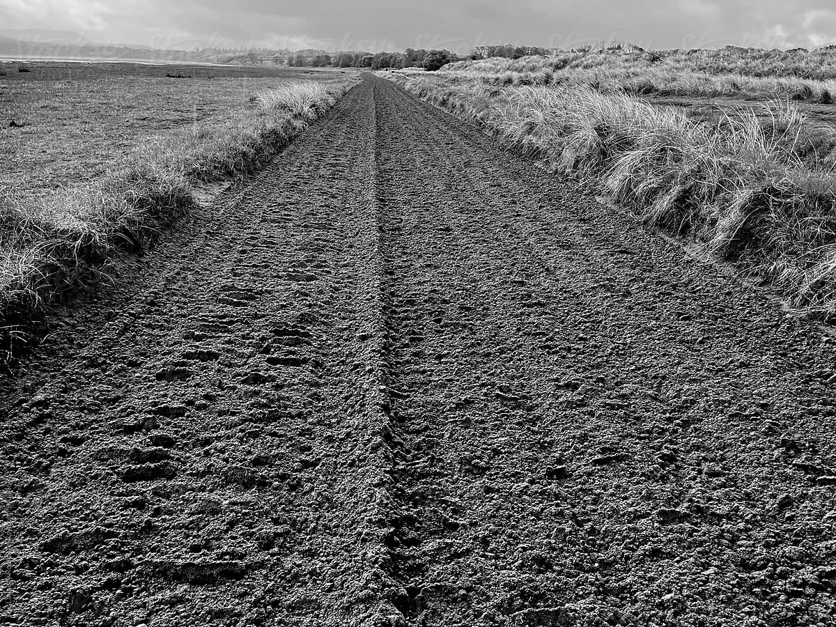 Sand track prepared for horses to run on, Sligo Bay