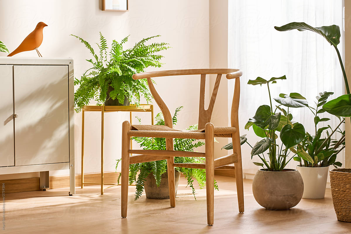 Wooden chair in room with potted plants