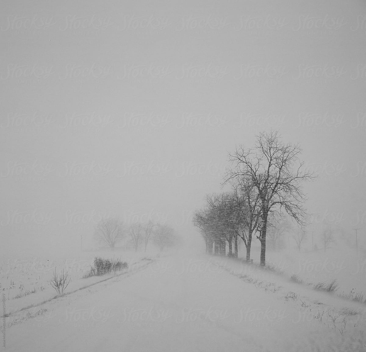 Frozen winter snow storm in Michigan country roads medium format film