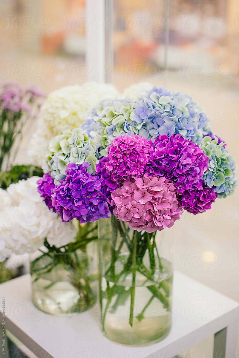 Bouquet of colorful hydrangea in vase in flower shop