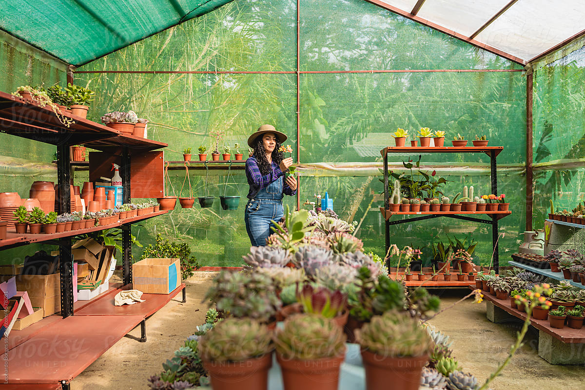 woman working in her plant store