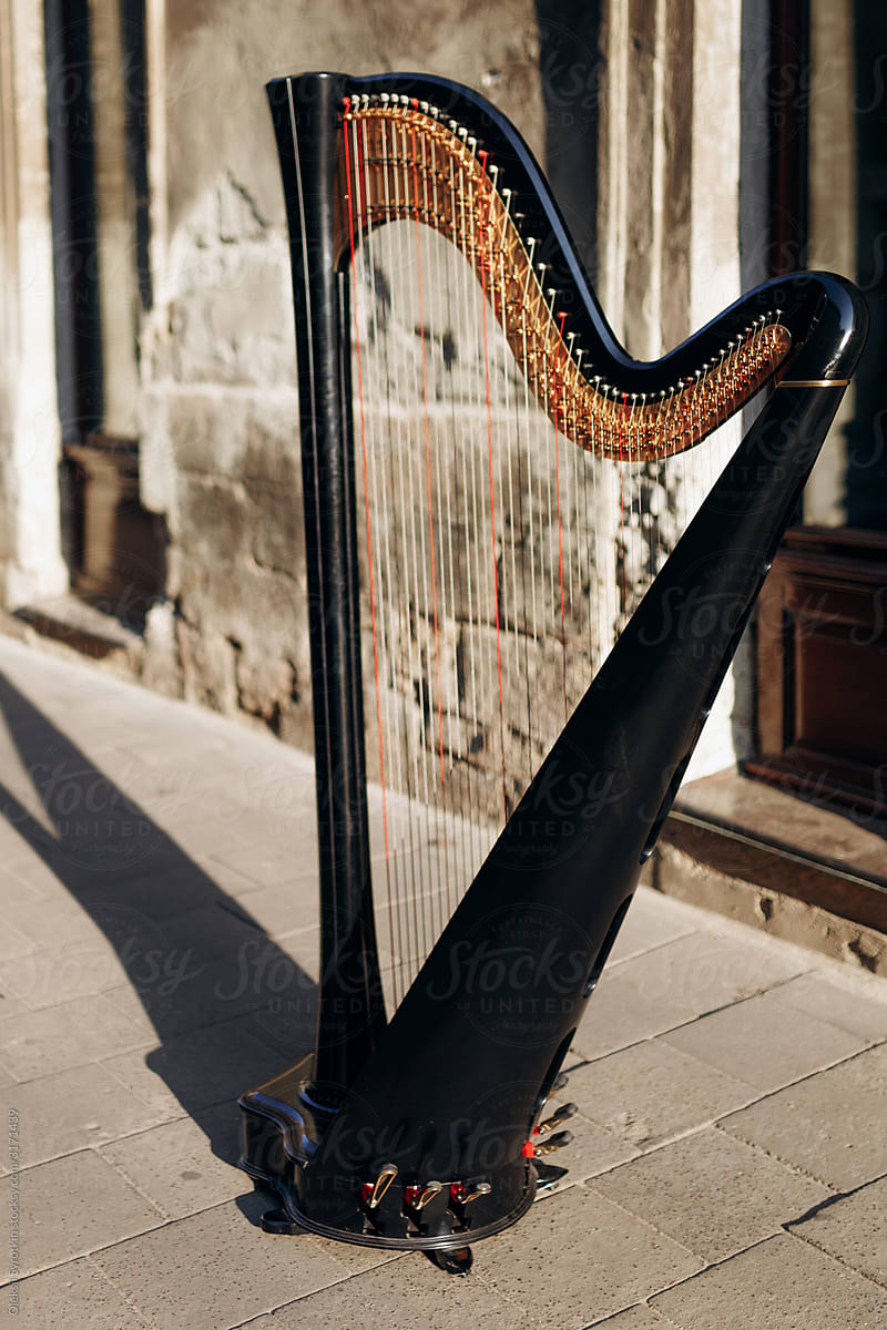 Harp among empty city