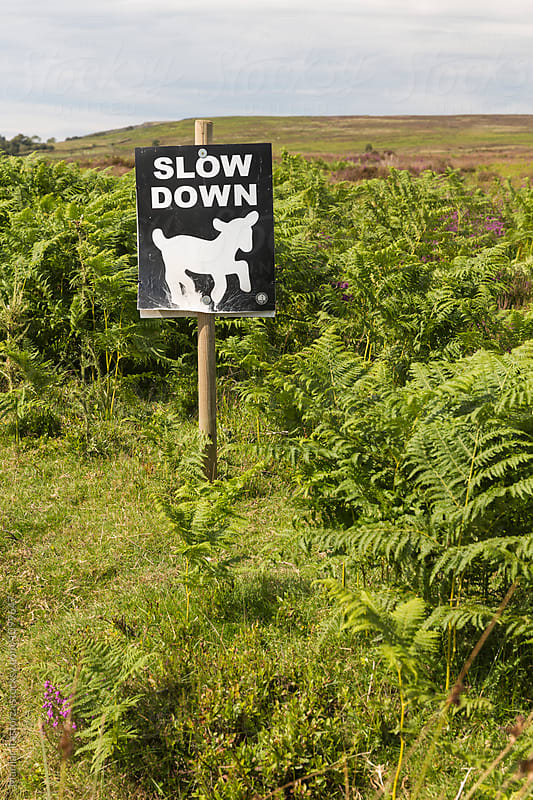 Slow down traffic sign in english countryside