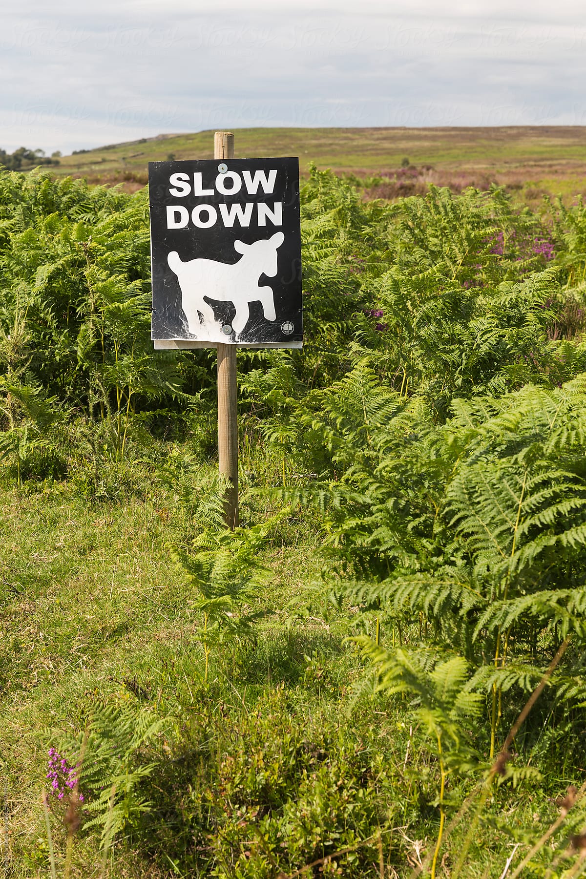 Slow down traffic sign in english countryside