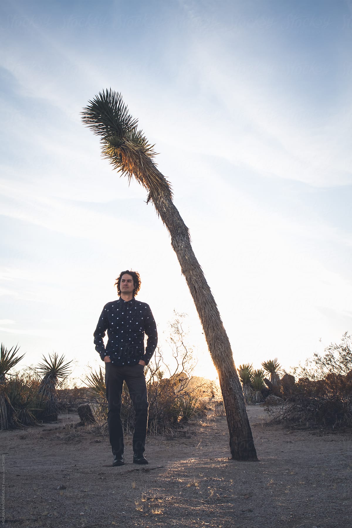 Tall Man Standing Next to Skinny Joshua Tree at Sunset