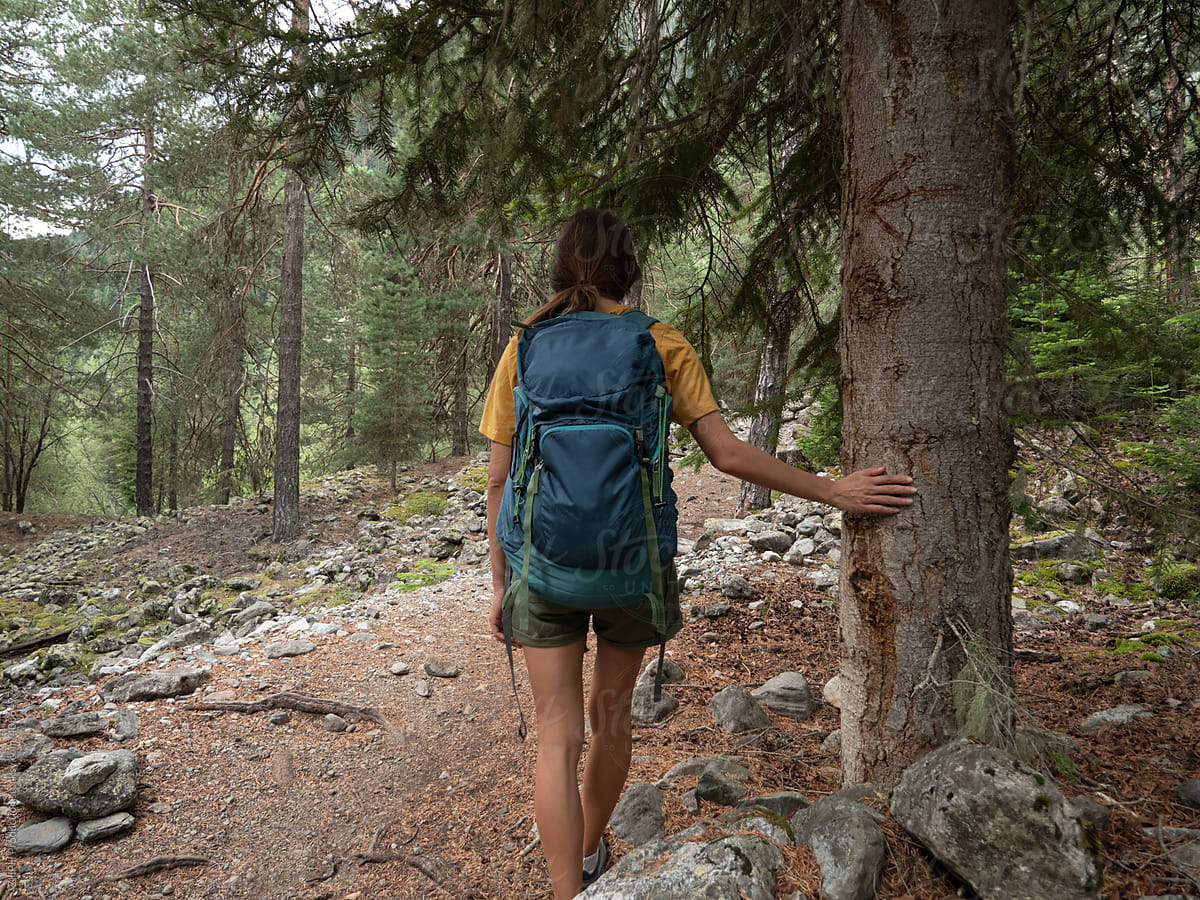 Woman hike in the forest