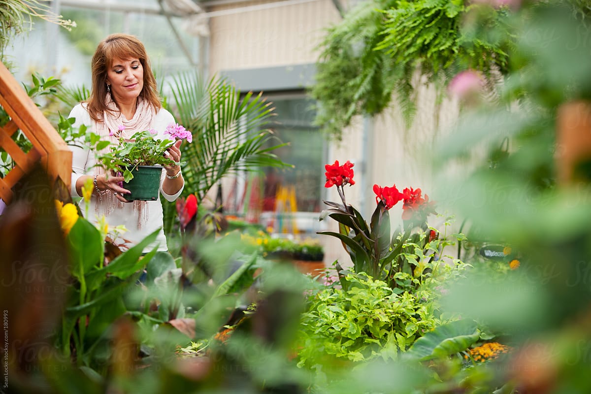 Market: Woman Shopping For Plants In Greenhouse