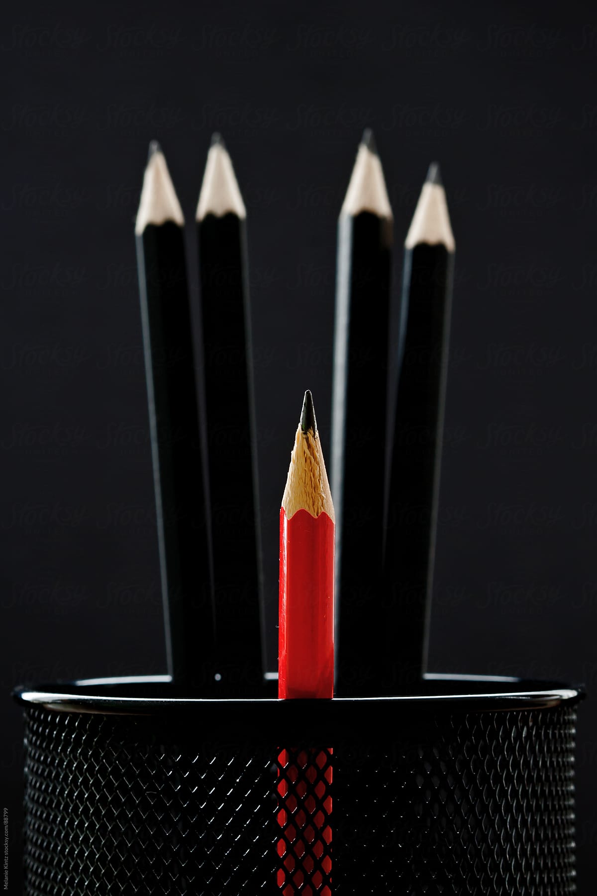 One Smaller Red Pencile Among A Group Of Other Black Pencils Before Black  Background by Stocksy Contributor Melanie Kintz - Stocksy