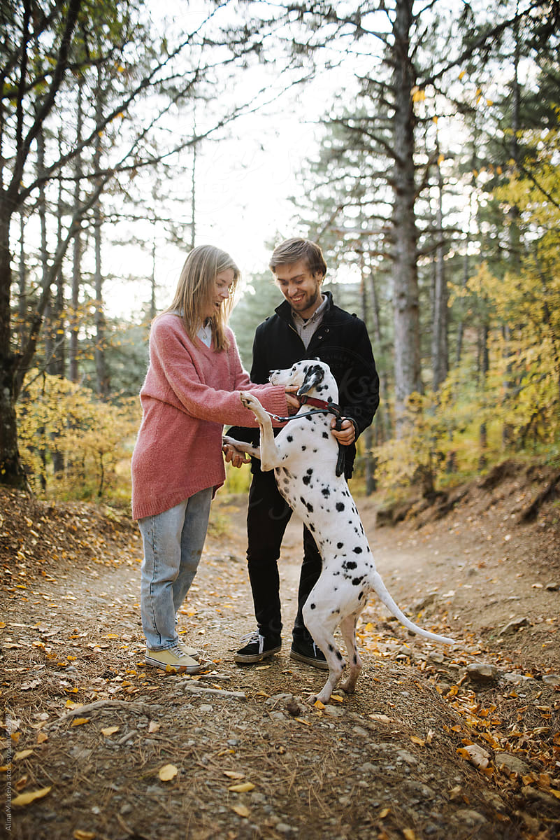 Cheerful couple playing with dog in autumn forest
