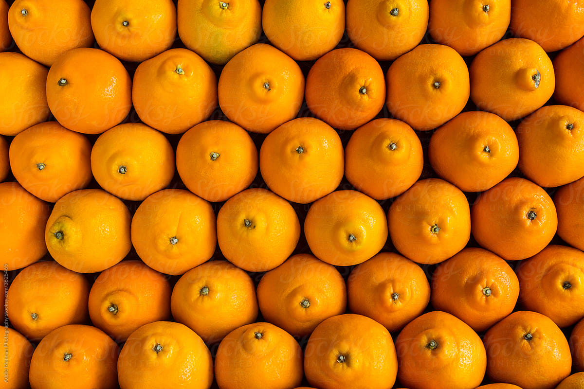 Oranges By Stocksy Contributor Addie Mannan Photography Stocksy