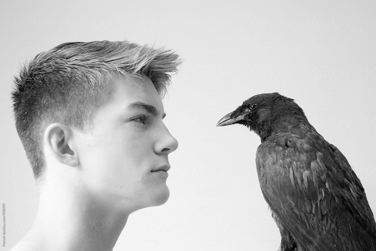Boy and his crow
