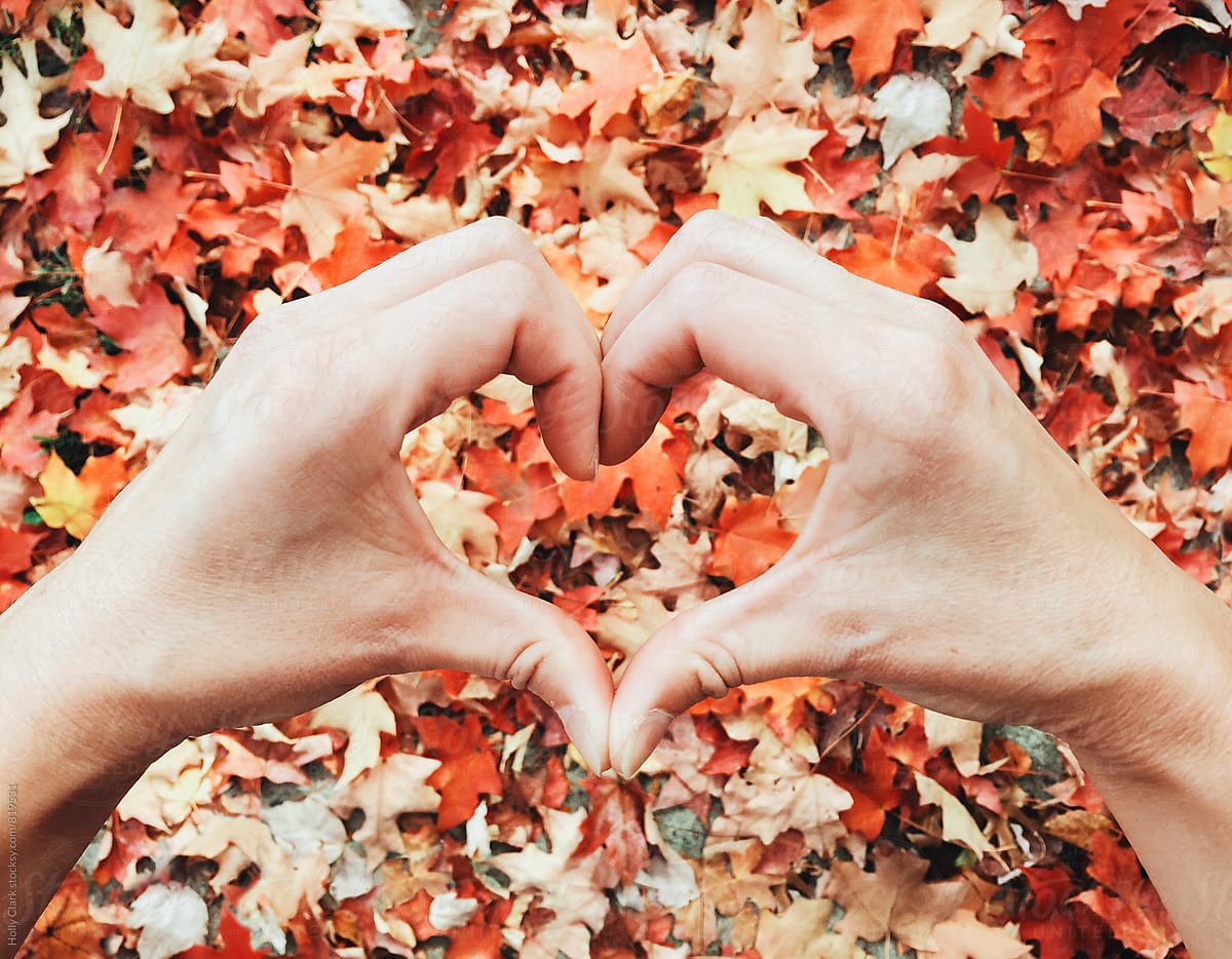 Autumn orange, leaf love with hand made heart