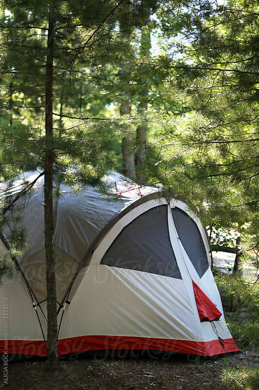 A Camping Tent In A Forest On A Summer Morning