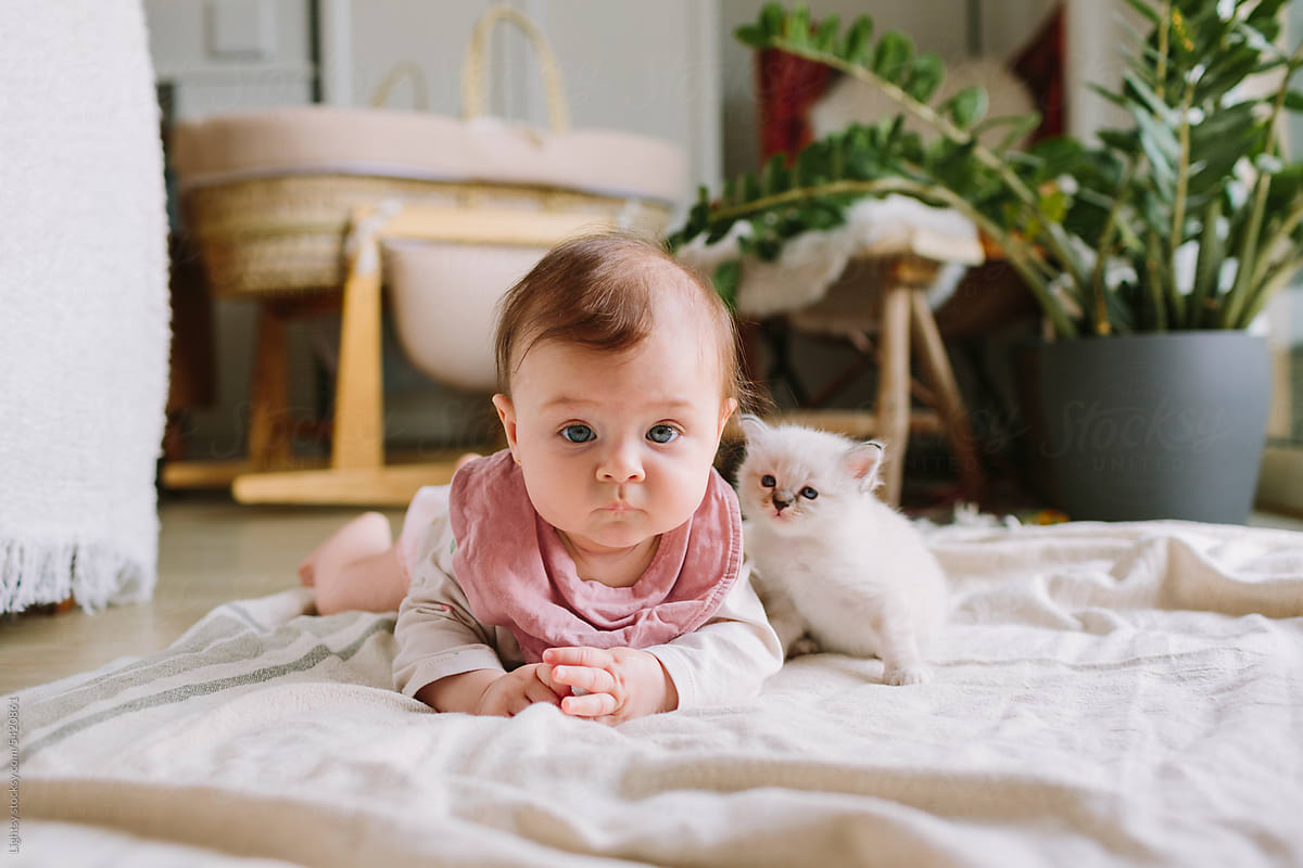 A baby girl with a kitten