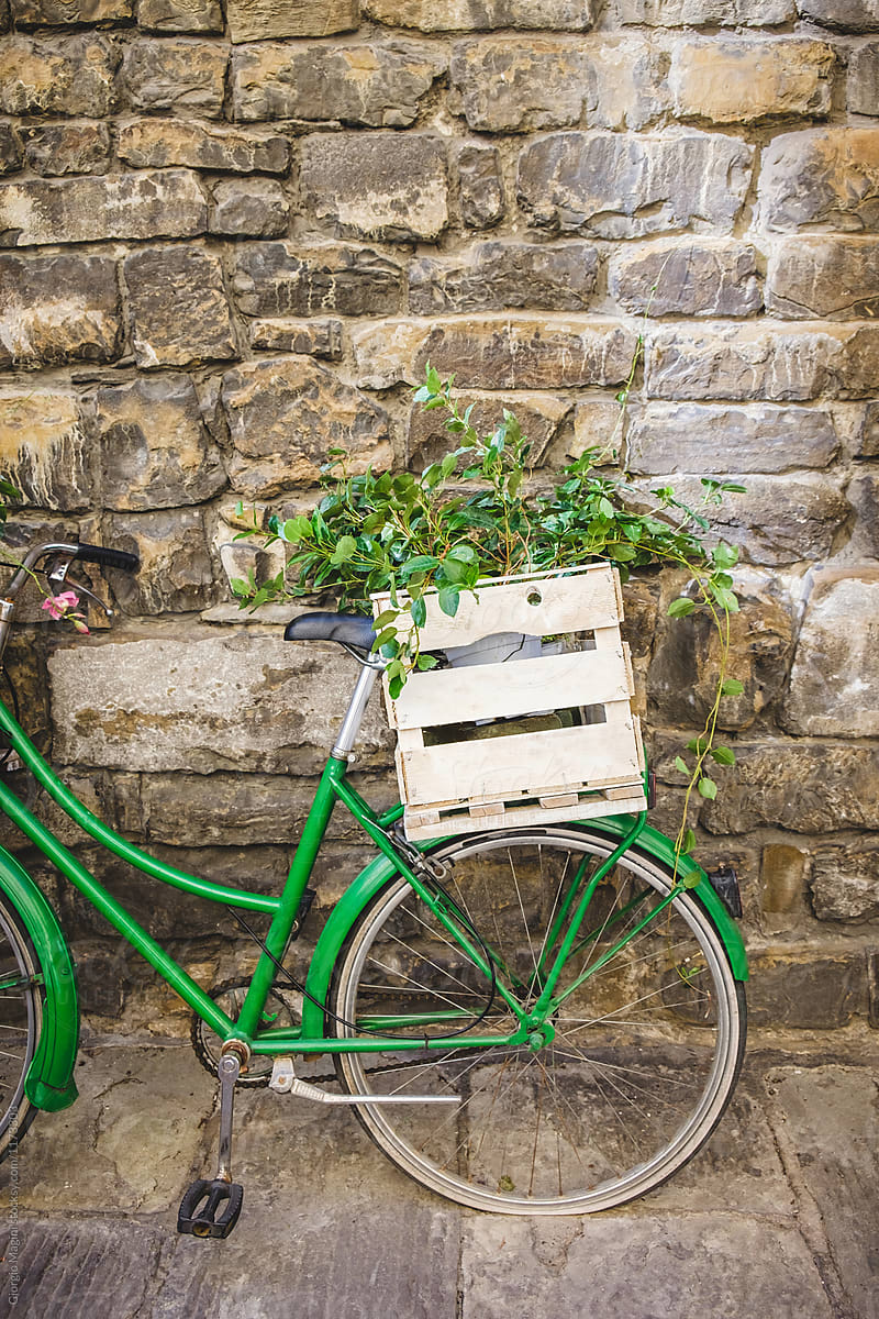 Old Bicycle Leaning against a Wall Carrying a Small Plant