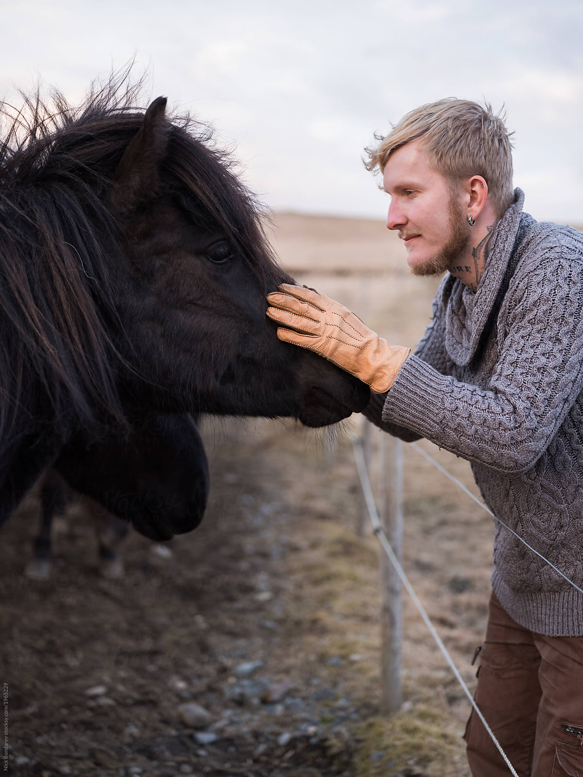 Man and horses on the Icelandic farm by Nick Bondarev - Horse, Human ...