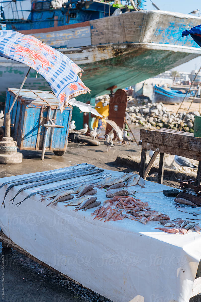 Seafood on counter sold at outdoor market