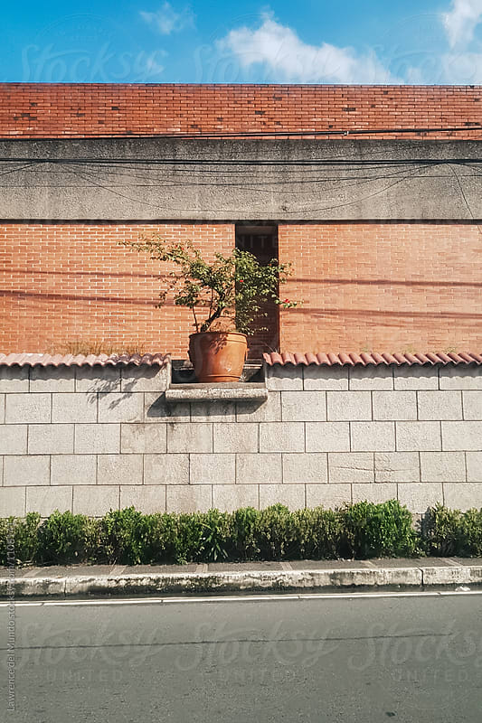 Lone plant pot on a wall as decor or ornament.