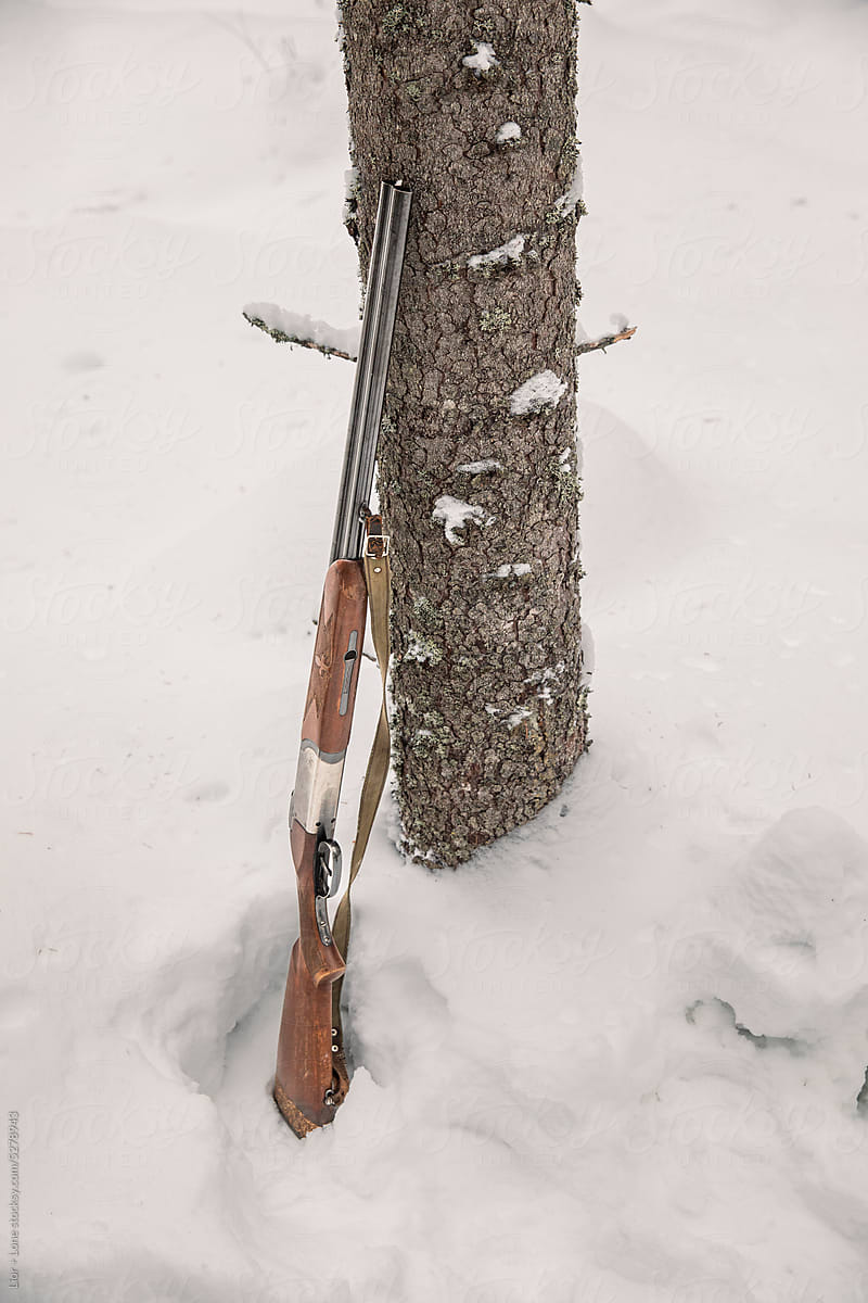 Shotgun leaning on tree in snow