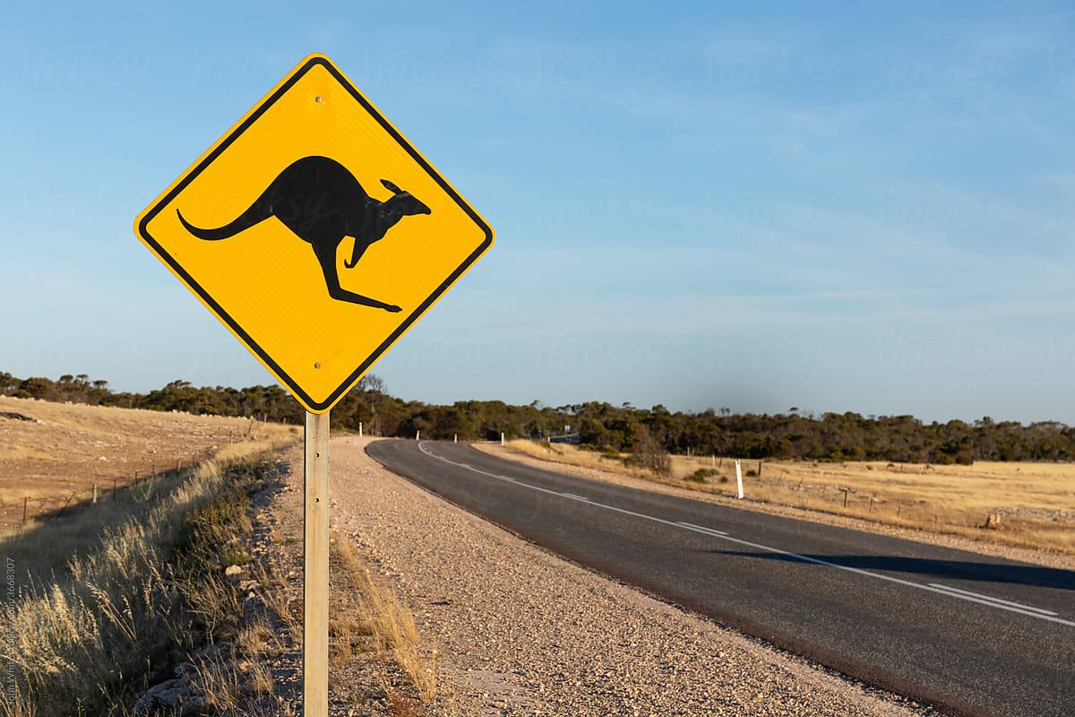 Kangaroo warning sign next to a rural road. Eyre Peninsula. South Australia.