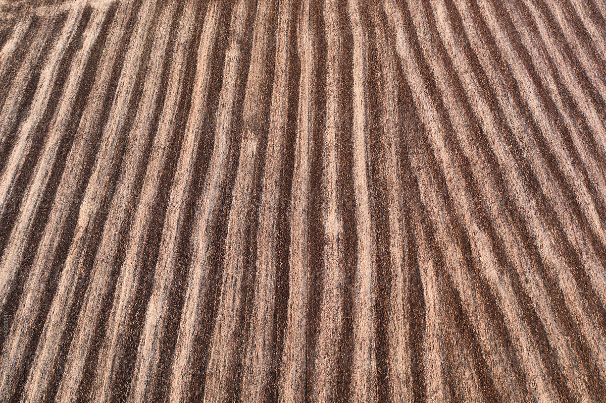 Abstract aerial shot of harvested agriculture field.