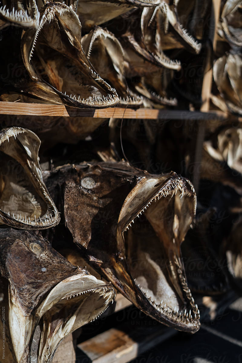 Heads of dried fish