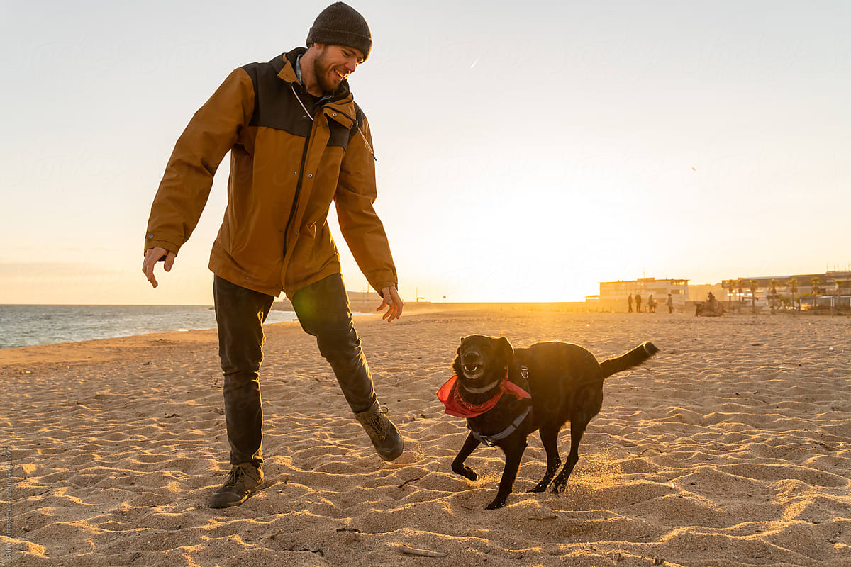 Man and dog playing games at beach during sunset