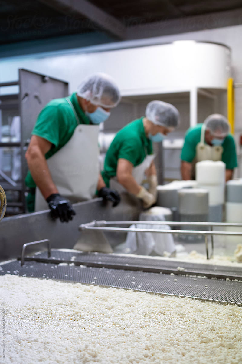 Cottage Cheese Factory Workers.