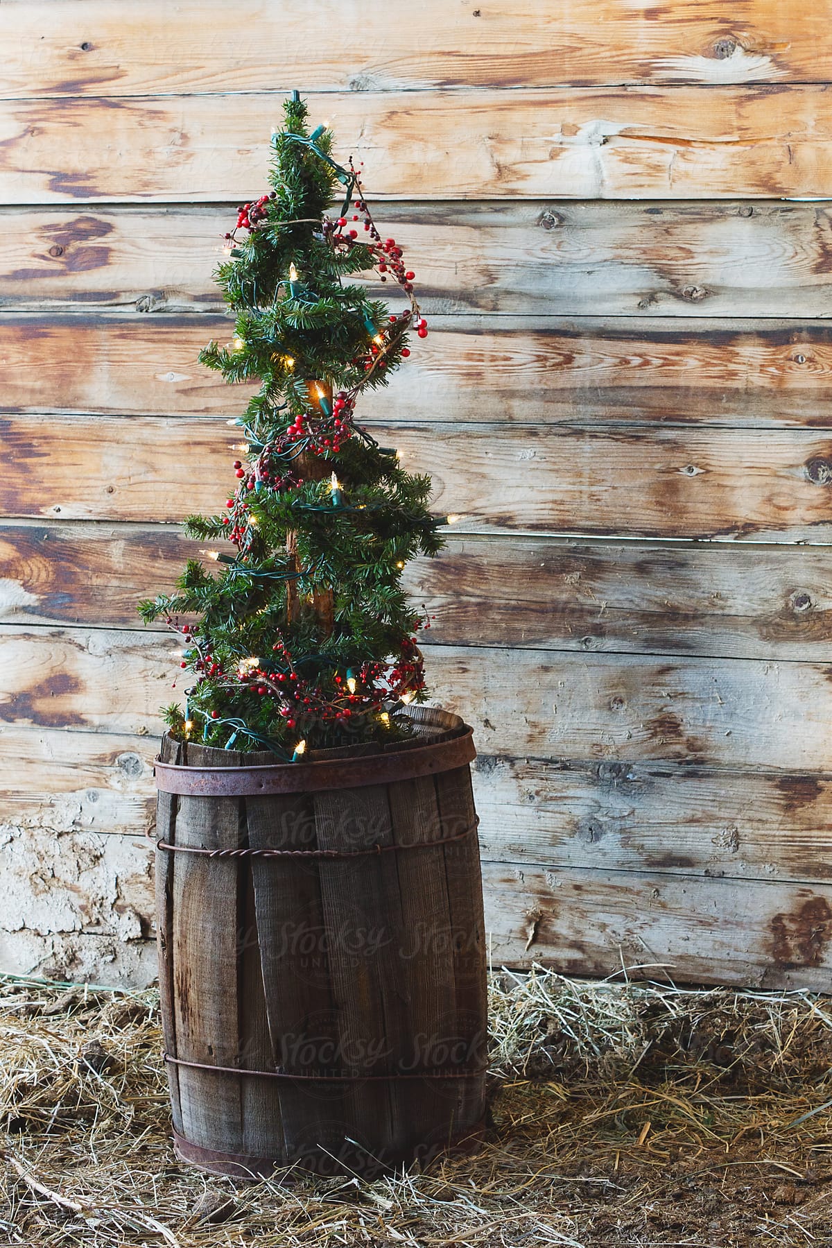 A rustic alpine tree decorated with lights sits inside antique barrel for the holidays