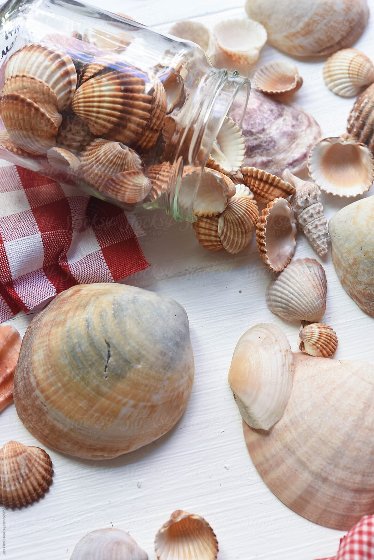 Decorative jars of seashells