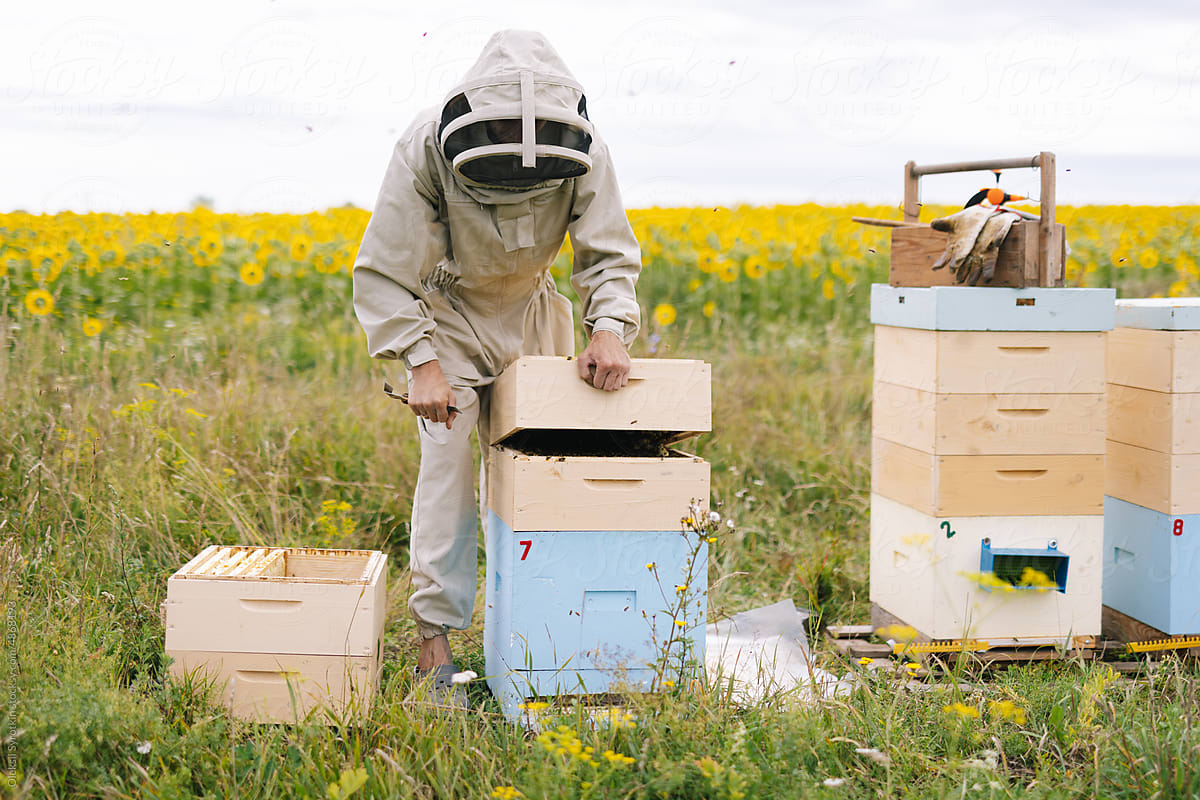 Farmer apicultural hive