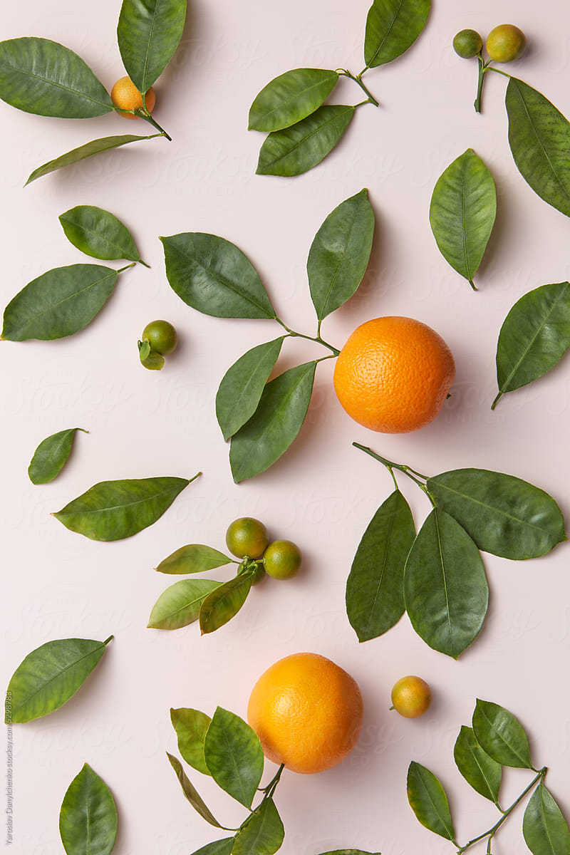 Organic tangerines and green leaves.