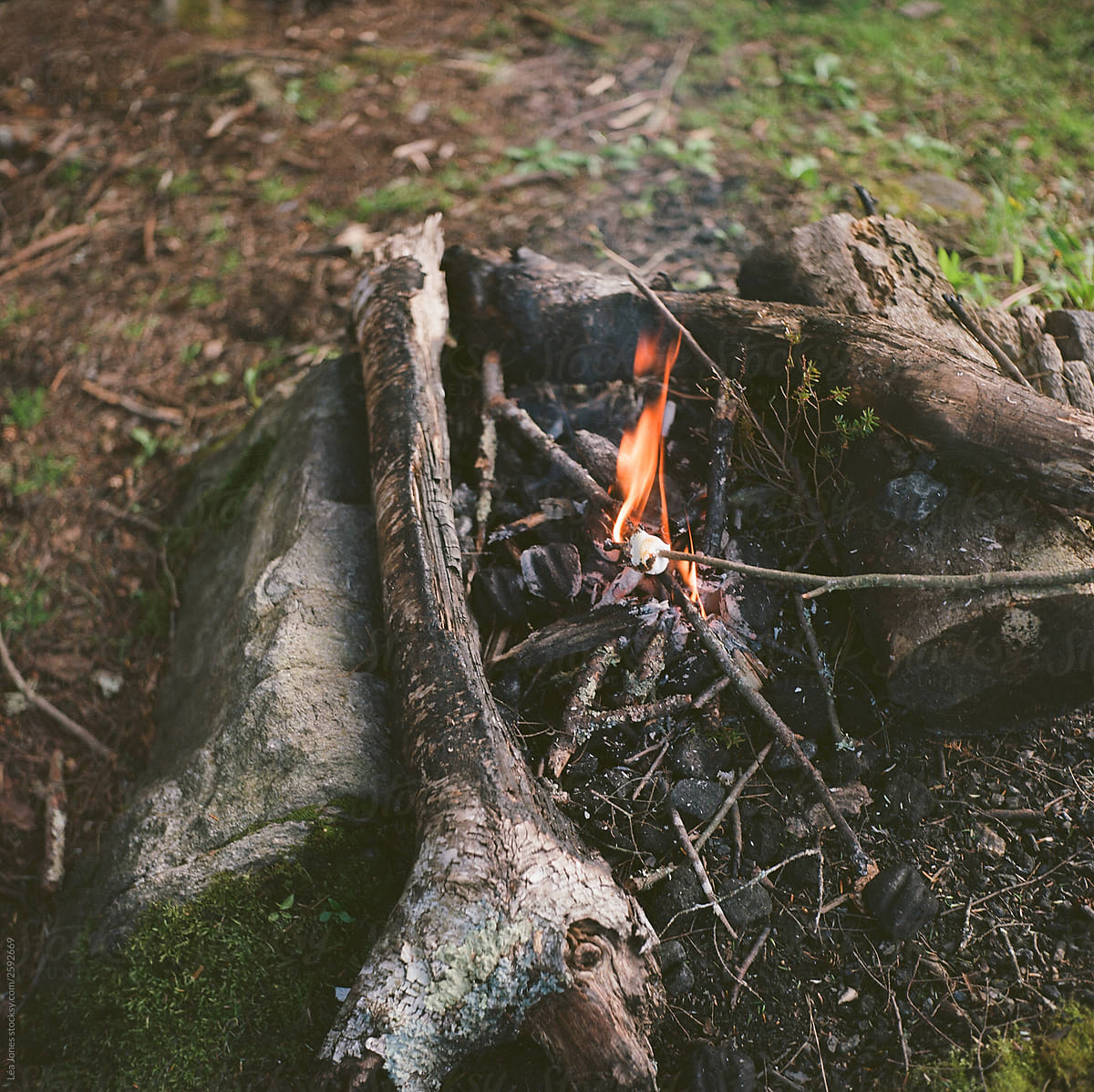campfire with marshmallow