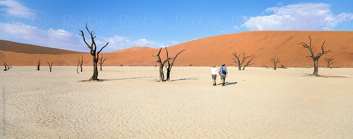 Tourists walking past dead trees towards orange sand dunes, Dead Vlei, Namib Desert, Namibia, Africa
