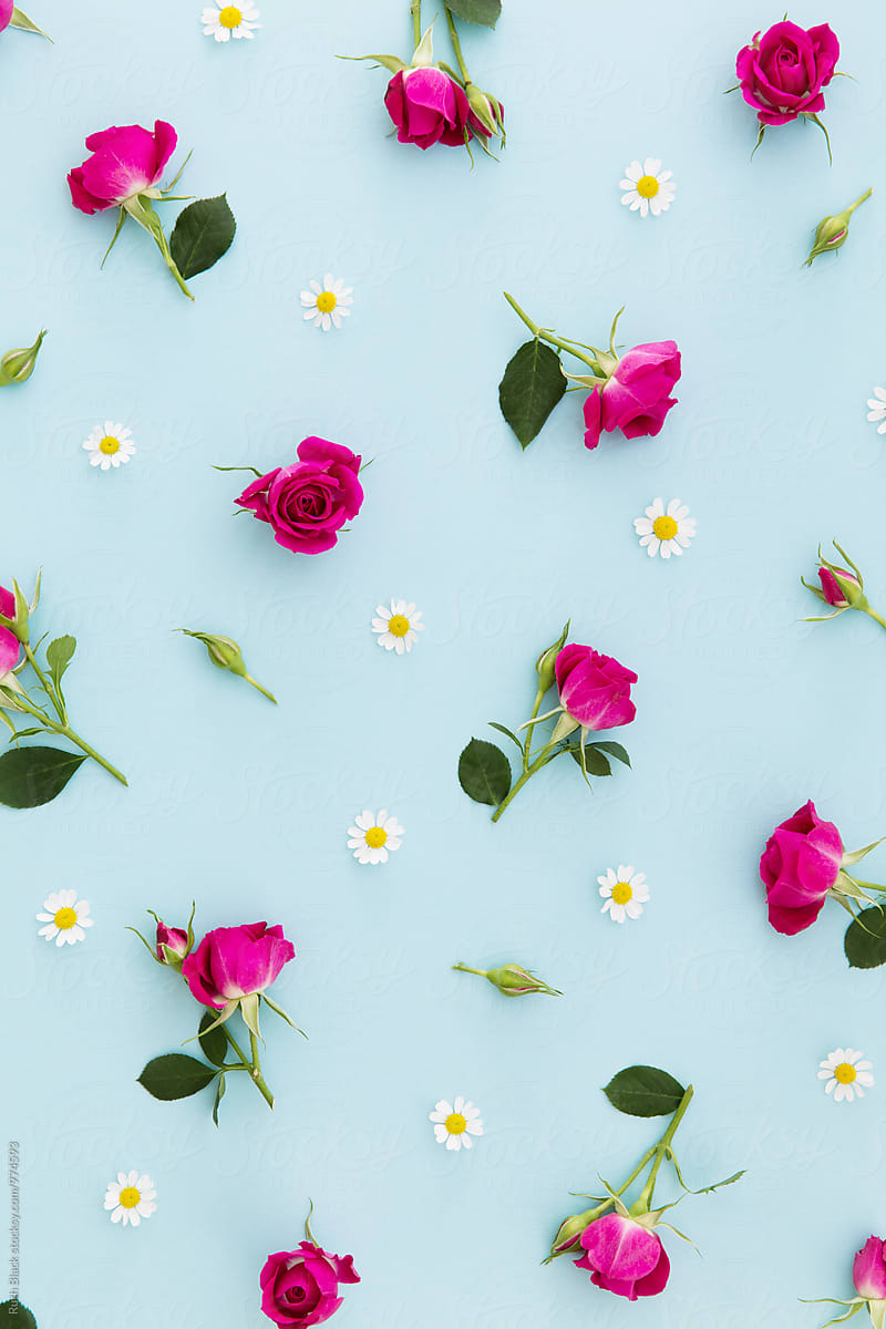 flower background pictures