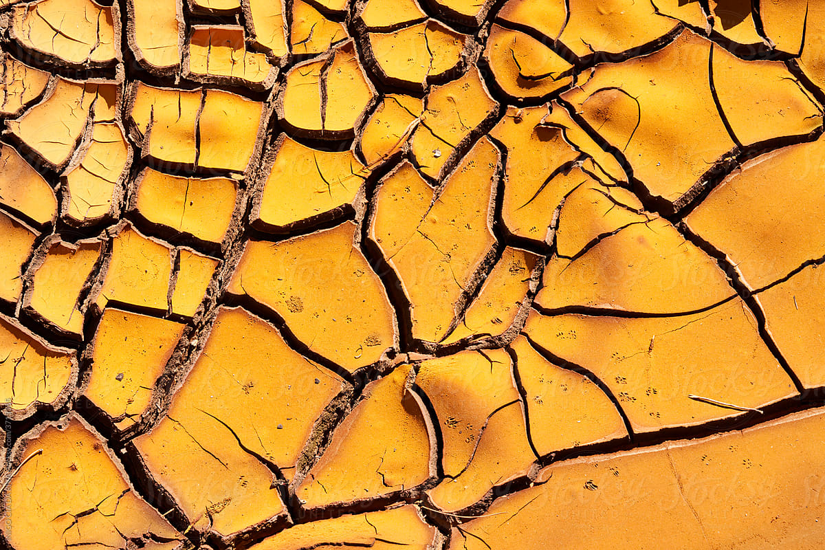 Cracked surface of dry ground in sunlight