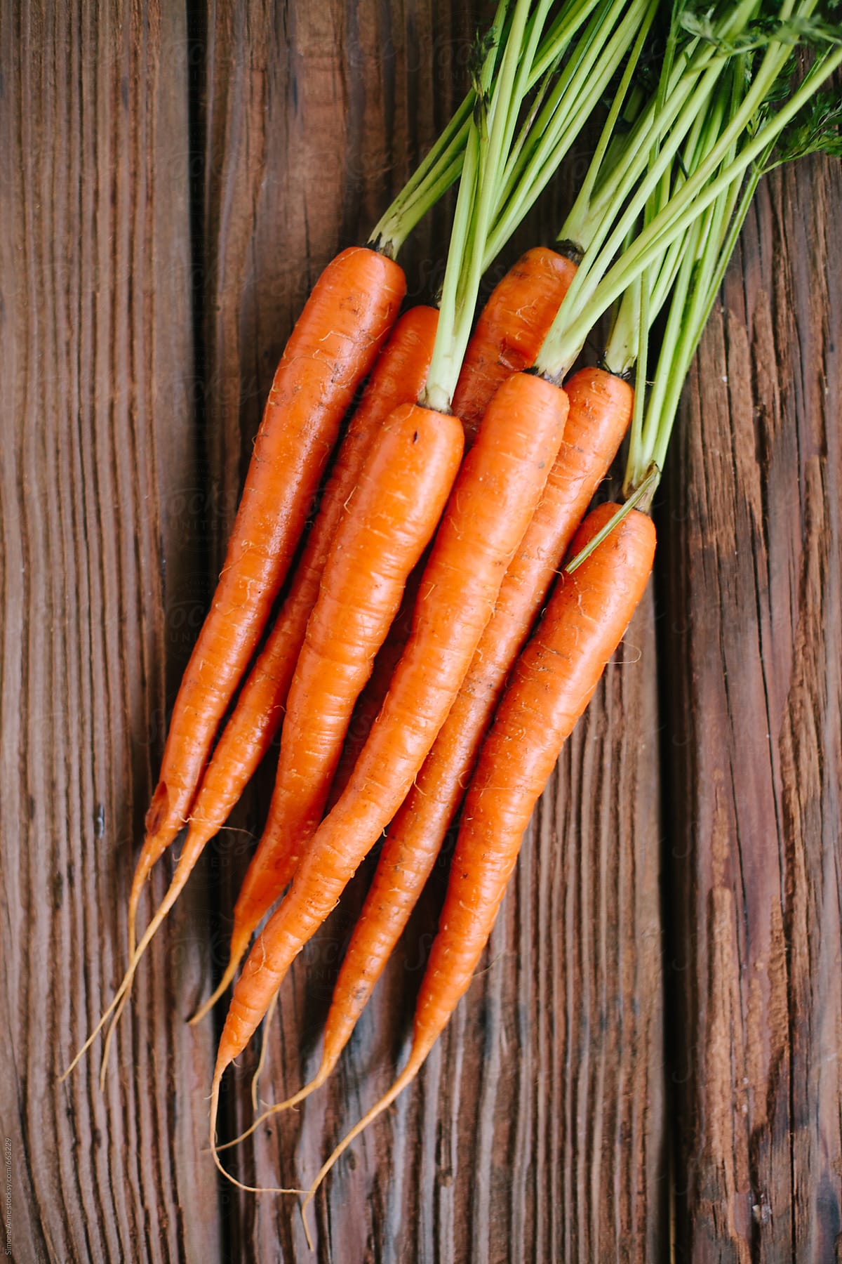 Fresh farm carrots on a wooden table