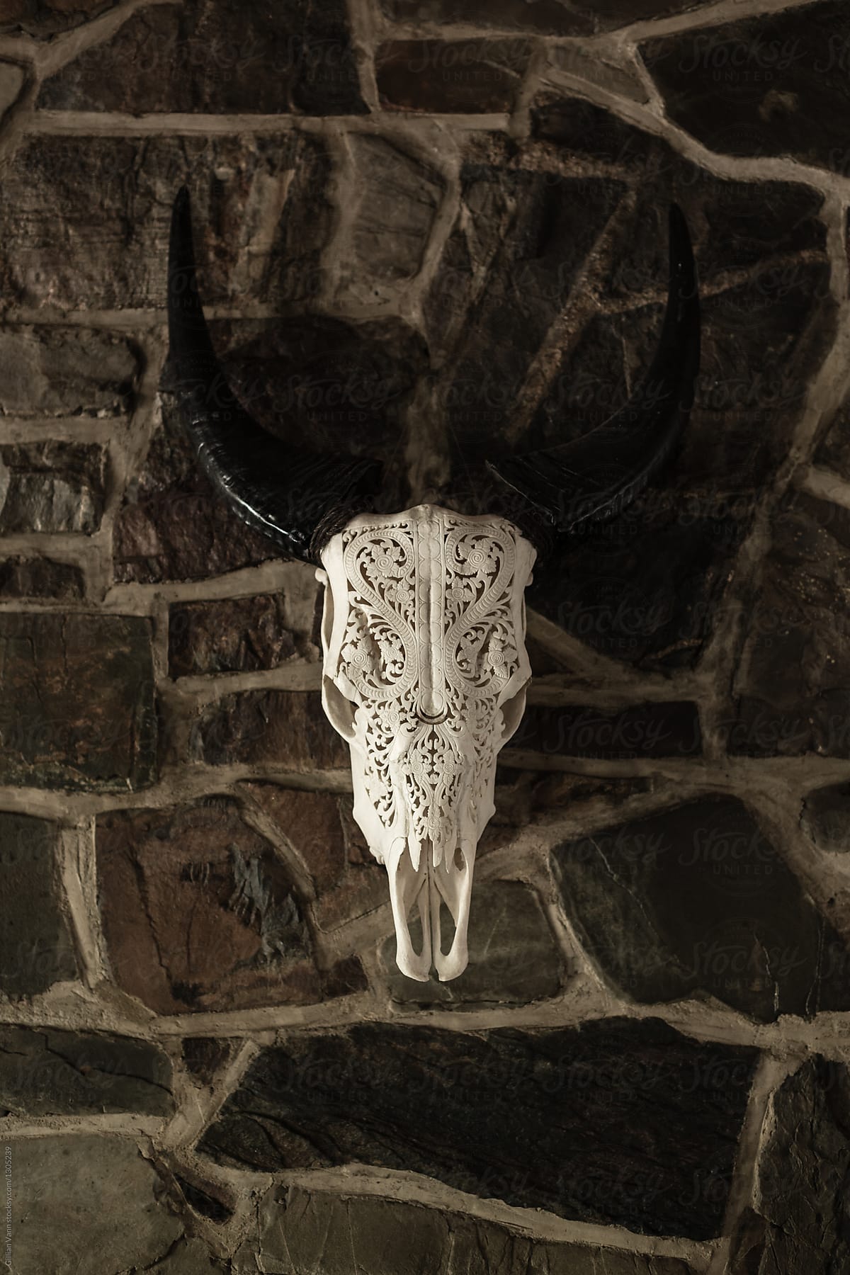 animal skull on a stone wall