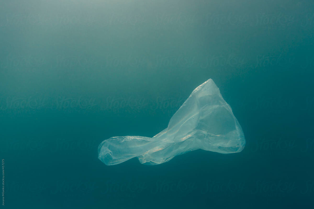 Plastic Bag in the Sea