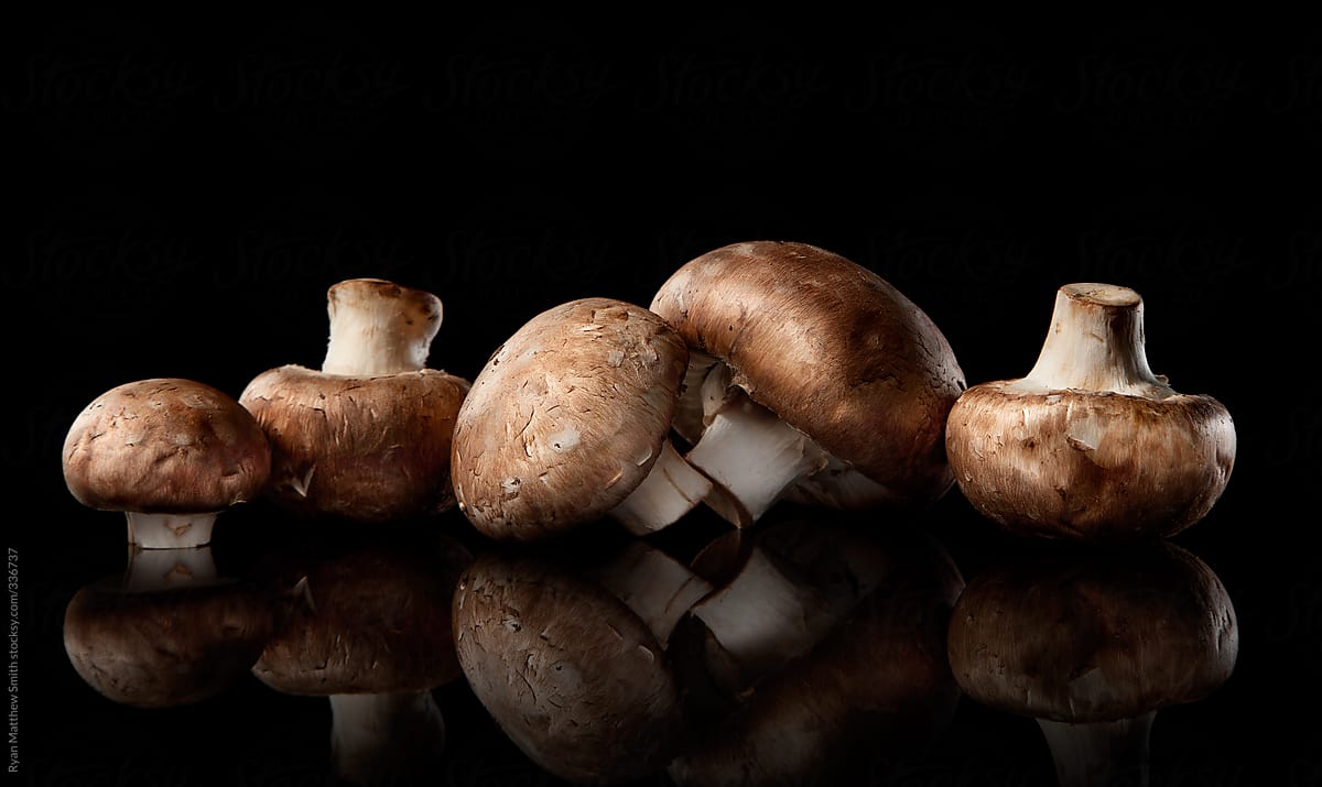 Cremini Mushrooms still life