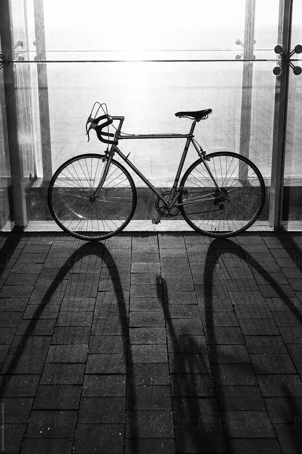 Vintage bicycle on sunrise. Black and white photo.