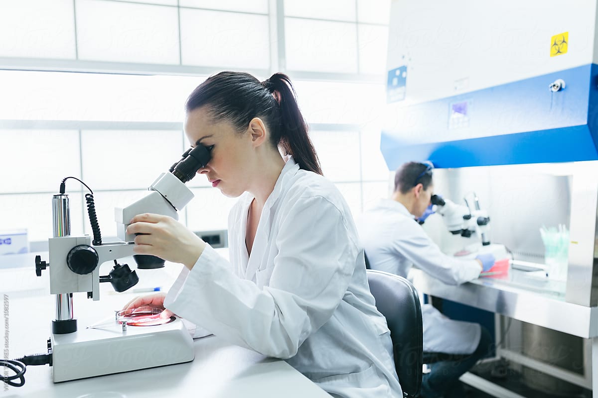 Young Researchers Working in a Professional Laboratory