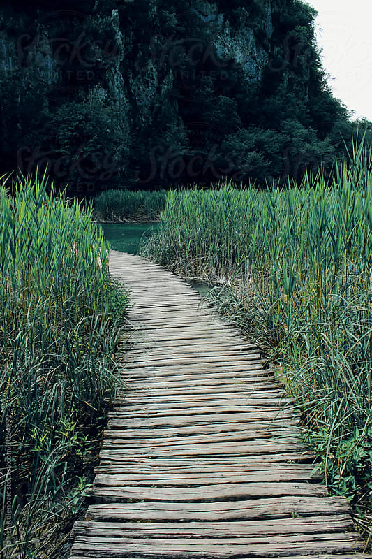 Photo of wood bridge on lake
