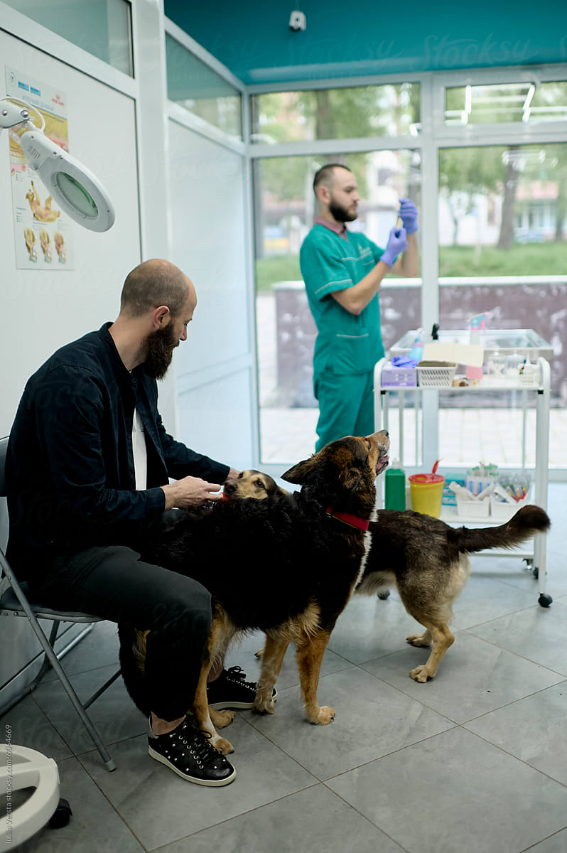 A man playing with the dogs while the doctor preparing the vaccine