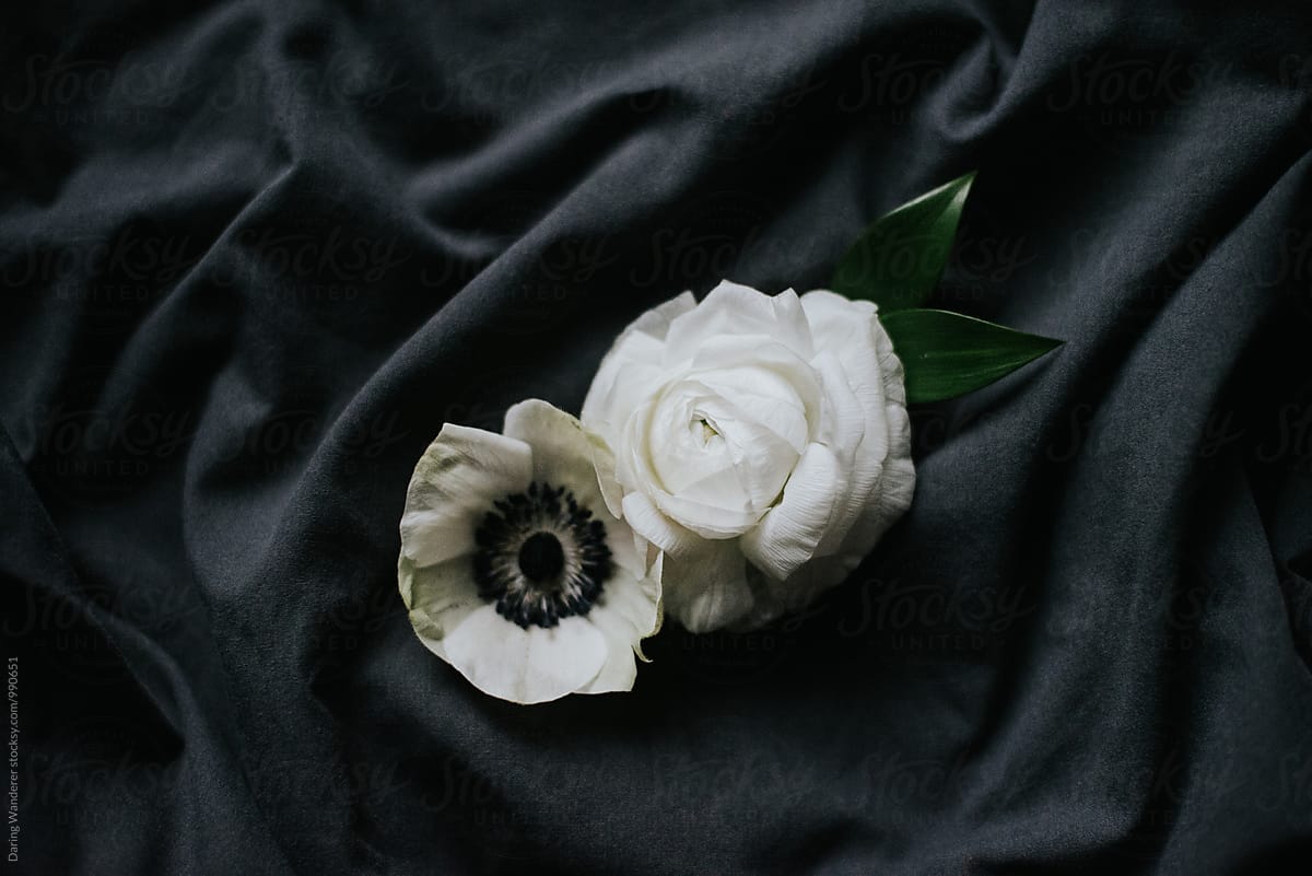 Dark and moody white flowers arranged on dark sheet background