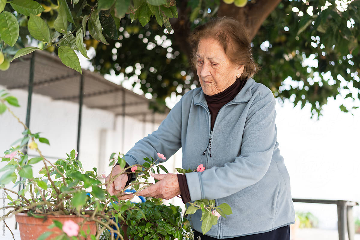 Elderly woman caring for potted plants in the garden.