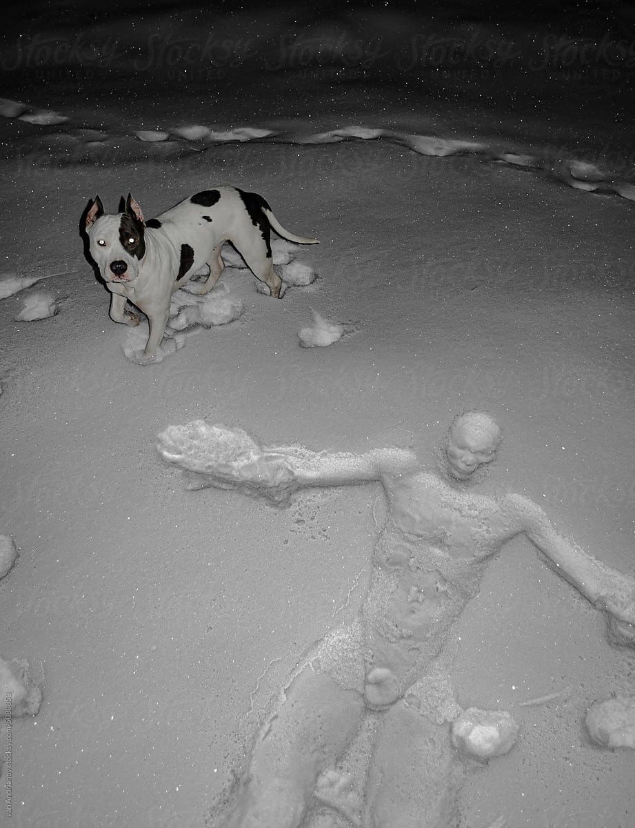 Surprised Dog With Lying Man Outline Winter Snow
