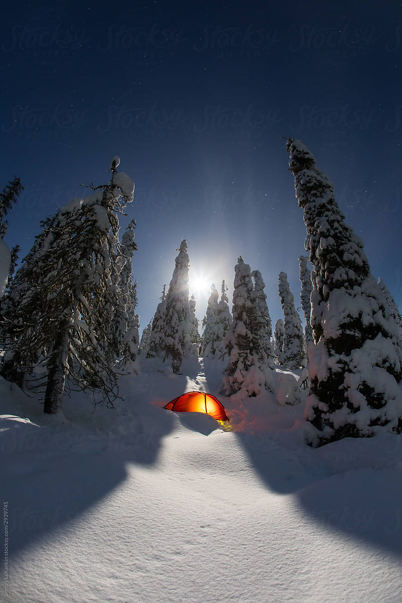Tent in the winter forest