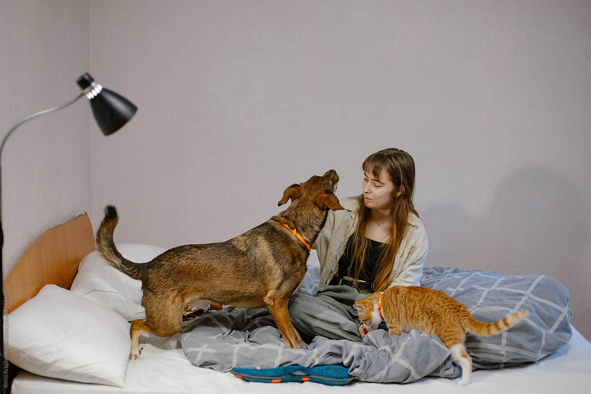 girl with cat and dog sitting on bed