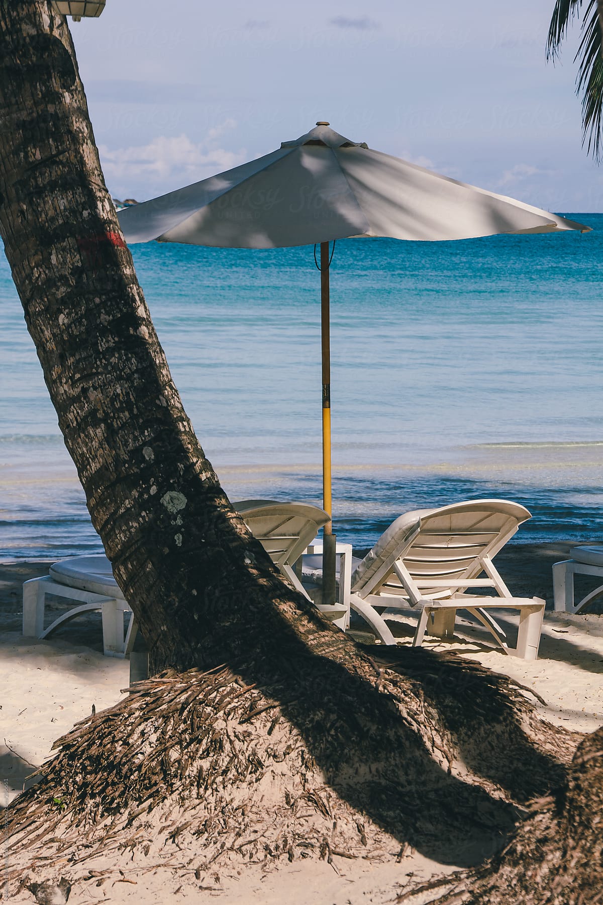 Sunshade And Hammocks On The Beach Of A Tropical Island By Stocksy Contributor Alejandro